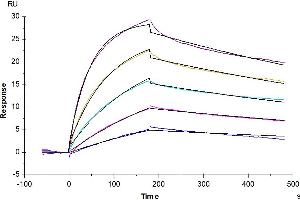 Surface Plasmon Resonance (SPR) image for Chemokine (C-C Motif) Receptor 2 (CCR2) (AA 1-360) (Active) protein-VLP (Biotin) (ABIN7448154)