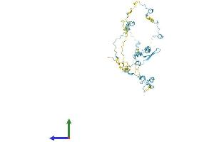 AlphaFold protein structure predicition of Human Recombinant SAXO2 Protein, UniprotID Q658L1 (FAM154B Protein (AA 1-398) (His tag))