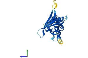AlphaFold protein structure predicition of Human Recombinant ZFYVE21 Protein, UniprotID Q9BQ24 (ZFYVE21 Protein (AA 1-234) (His tag))