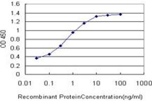 Detection limit for recombinant GST tagged SGK2 is approximately 0. (SGK2 antibody  (AA 293-367))