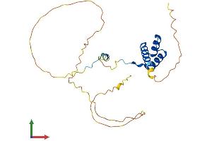 AlphaFold protein structure predicition of Human Recombinant HOXC6 Protein, UniprotID P09630 (Homeobox C6 Protein (HOXC6) (AA 1-235) (His tag))