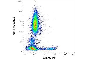 Flow cytometry surface staining pattern of human peripheral whole blood stained using anti-human CD75 (LN1) PE antibody (10 μL reagent / 100 μL of peripheral whole blood). (ST6GAL1 antibody  (PE))