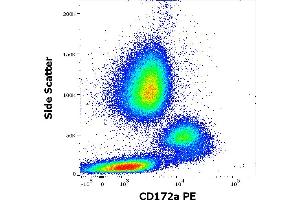 Anti-human CD172a PE antibody (clone 15-414) works in flow cytometry application. (SIRPA antibody  (PE))