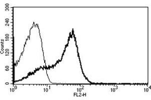 Flow Cytometry (FACS) image for anti-CD7 (CD7) antibody (PE) (ABIN1106544) (CD7 antibody  (PE))