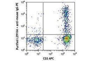 Flow Cytometry (FACS) image for anti-Chemokine (C-C Motif) Receptor 4 (CCR4) antibody (ABIN2664335) (CCR4 antibody)