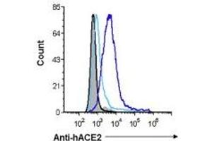 Black histograms represent the background staining of 293T parental cells and gray-filled histograms represents background staining of 293T-ACE2 cells. (ACE2 antibody)