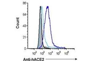 Black histograms represent the background staining of 293T parental cells and gray-filled histograms represents background staining of 293T-ACE2 cells. (ACE2 antibody)