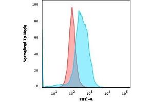 Flow Cytometric Analysis of PFA-fixed Ramos cells. (CD86 antibody)