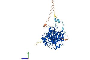 AlphaFold protein structure predicition of Mouse Recombinant Cmss1 Protein, UniprotID Q9CZT6