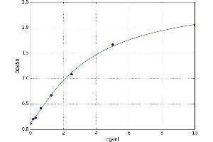 Erythroferrone (ERFE) ELISA Kit