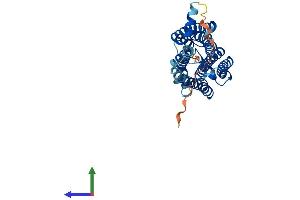 AlphaFold protein structure predicition of Mouse Recombinant Rrh Protein, UniprotID O35214 (Peropsin Protein (RRH) (AA 1-337) (His tag))