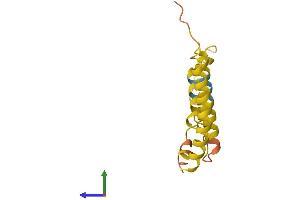 AlphaFold protein structure predicition of Human Recombinant TMEM14EP Protein, UniprotID Q6UXP3 (TMEM14E Protein (AA 1-125) (His tag))