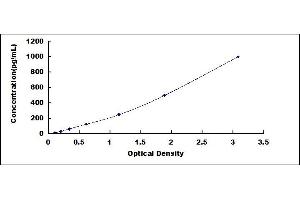 Typical standard curve