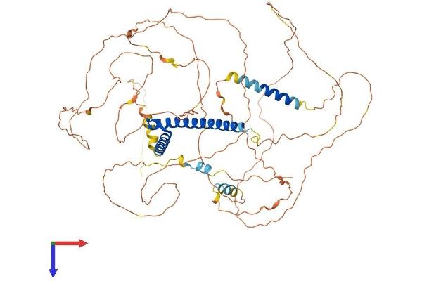 TCF12 Protein (AA 1-682) (His tag)
