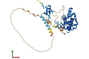 AlphaFold protein structure predicition of Human Recombinant MORF4L1 Protein, UniprotID Q9UBU8