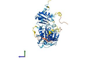 AlphaFold protein structure predicition of Human Recombinant DPH2 Protein, UniprotID Q9BQC3