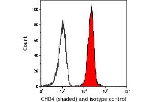 Flow Cytometry (FACS) image for anti-Chromodomain Helicase DNA Binding Protein 4 (CHD4) antibody (ABIN7453323) (Recombinant CHD4 antibody)