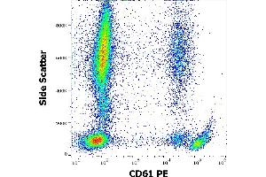Flow cytometry surface staining pattern of human peripheral whole blood stained using anti-human CD61 (VIPL2) PE antibody (10 μL reagent / 100 μL of peripheral whole blood).
