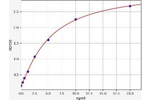 Connector Enhancer of Kinase Suppressor of Ras 1 (CNKSR1) ELISA Kit
