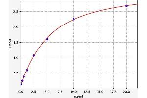 Typical standard curve (CNKSR1 ELISA Kit)