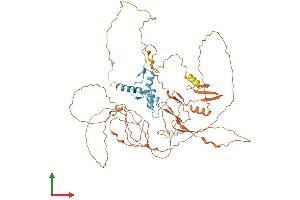 AlphaFold protein structure predicition of Human Recombinant SP2 Protein, UniprotID Q02086