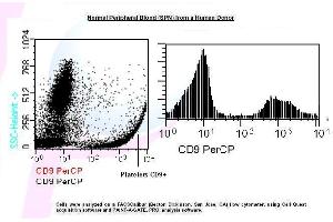Image no. 1 for anti-CD9 (CD9) antibody (PerCP) (ABIN1112245) (CD9 antibody  (PerCP))
