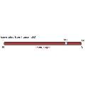 anti-Tumor Protein P53 (TP53) (full length) antibody