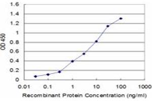 Detection limit for recombinant GST tagged PI15 is approximately 0. (PI15 antibody  (AA 18-117))