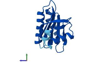 AlphaFold protein structure predicition of Mouse Recombinant Pfn4 Protein, UniprotID Q9D6I3