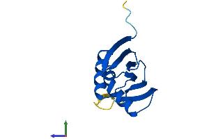 AlphaFold protein structure predicition of Human Recombinant PSMG3 Protein, UniprotID Q9BT73