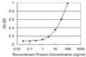 Detection limit for recombinant GST tagged UBASH3A is 0. (UBASH3A antibody  (AA 524-623))