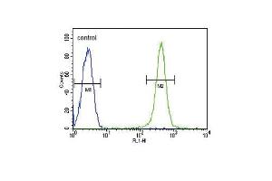 GPI Antibody (C-term) (ABIN653743 and ABIN2843045) flow cytometric analysis of Ramos cells (right histogram) compared to a negative control cell (left histogram). (GPI antibody  (C-Term))