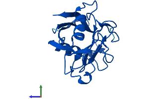 AlphaFold protein structure predicition of Human Recombinant PPIAL4F Protein, UniprotID P0DN26 (PPIAL4F Protein (AA 1-164) (His tag))