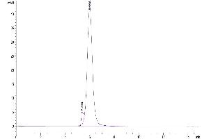 Size-exclusion chromatography-High Pressure Liquid Chromatography (SEC-HPLC) image for CD24 Molecule (CD24) (AA 27-53) protein (mFc Tag) (ABIN7274122)