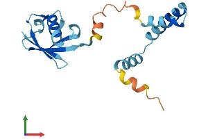 AlphaFold protein structure predicition of Human Recombinant UBL4A Protein, UniprotID P11441