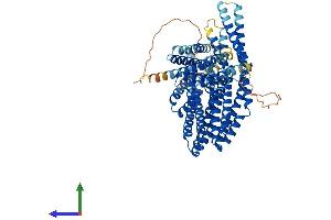 Protein Structure (PS) image for Catenin (Cadherin-Associated Protein), alpha-Like 1 (CTNNAL1) (AA 1-731) protein (His tag) (ABIN7562591)