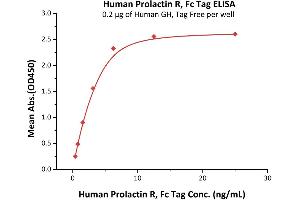 Immobilized Human GH, Tag Free at 2 μg/mL (100 μL/well) can bind Human Prolactin R, Fc Tag (ABIN5674642,ABIN6253668) with a linear range of 0. (Prolactin Receptor Protein (PRLR) (AA 25-234) (Fc Tag))