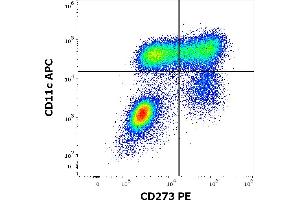 Flow cytometry multicolor surface staining of human GM-CSF and Il-4 stimulated peripheral blood mononuclear cells stained using anti-human CD273 (24F. (PDCD1LG2 antibody  (PE))