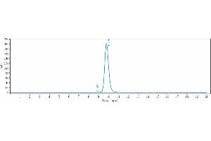 The purity of Anti-IL-33 Reference Antibody (etokimab) is 99. (Recombinant IL33 (Etokimab Biosimilar) antibody)