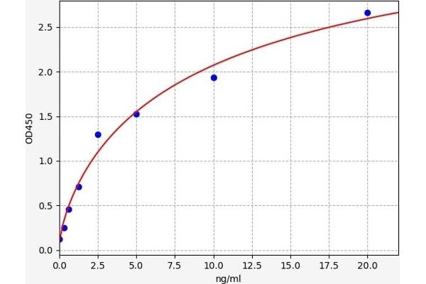 NDN ELISA Kit