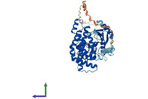 Protein Structure (PS) image for Ethanolamine Kinase 1 (ETNK1) (AA 1-452) protein (His tag) (ABIN7547311)