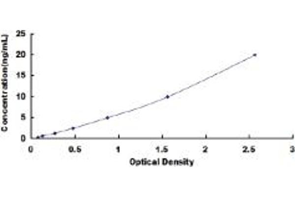 IGFBP3 ELISA Kit