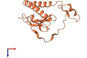 ADARB2 Antisense RNA 1 (ADARB2-AS1) (AA 1-147) protein (His tag)