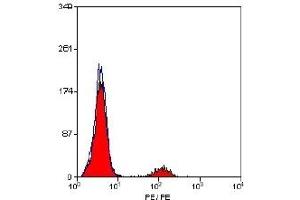 Staining of human peripheral blood lymphocytes with Mouse anti Human CD21-RPE (ABIN119513) (CD21 antibody  (PE))