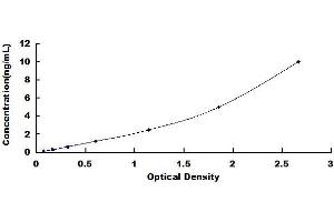 Typical standard curve (CDX2 ELISA Kit)