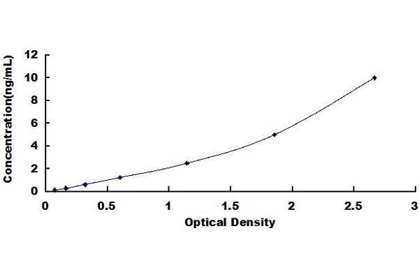 CDX2 ELISA Kit