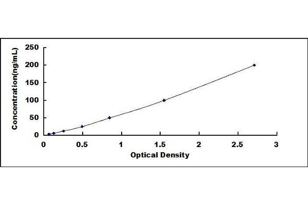 Myelin Basic Protein Autoantibody (Anti-MBP) ELISA Kit