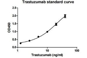 ELISA image for Trastuzumab ELISA Kit (ABIN4886397) (Trastuzumab ELISA Kit)