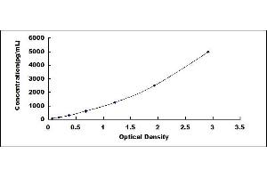 Typical standard curve (WNT16 ELISA Kit)