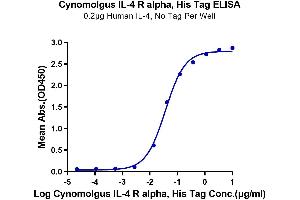 Immobilized Human IL-4, No Tag at 2 μg/mL (100 μL/well) on the plate. (IL4 Receptor Protein (AA 26-232) (His tag))